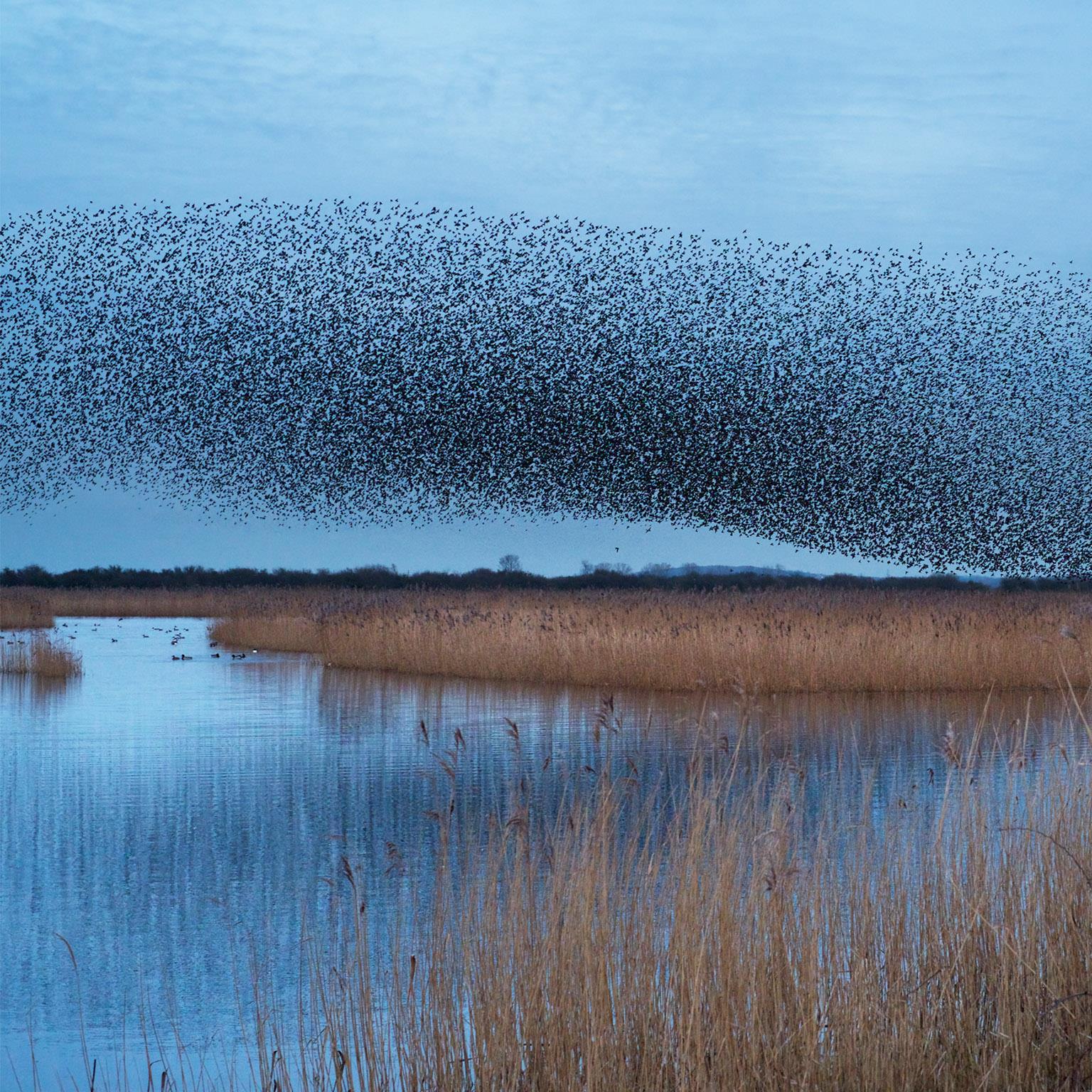 Analytics-banking_1536x1536_400_Standard