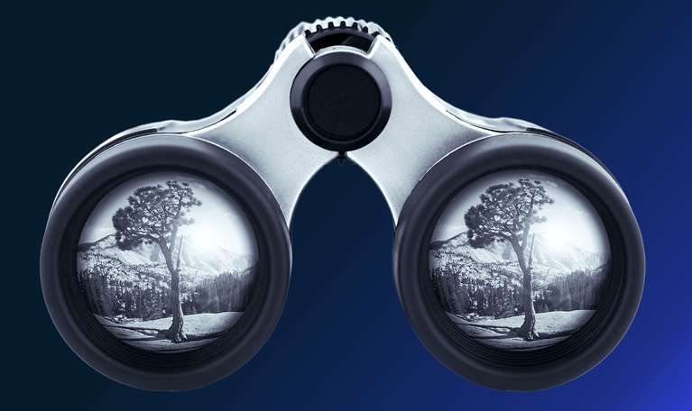 Blue toned binoculars