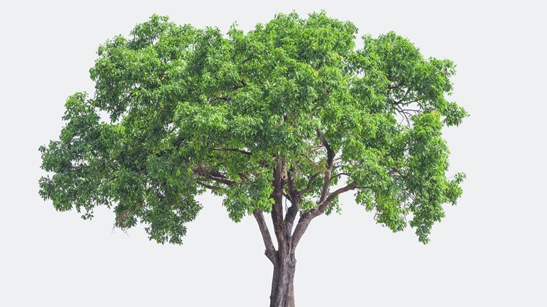 Long-term value creation in US retirement