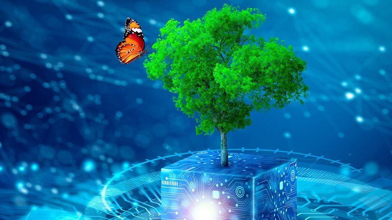A conceptual 3D image of a butterfly landing on a tree that is growing on a digital cube covered in circuitry.