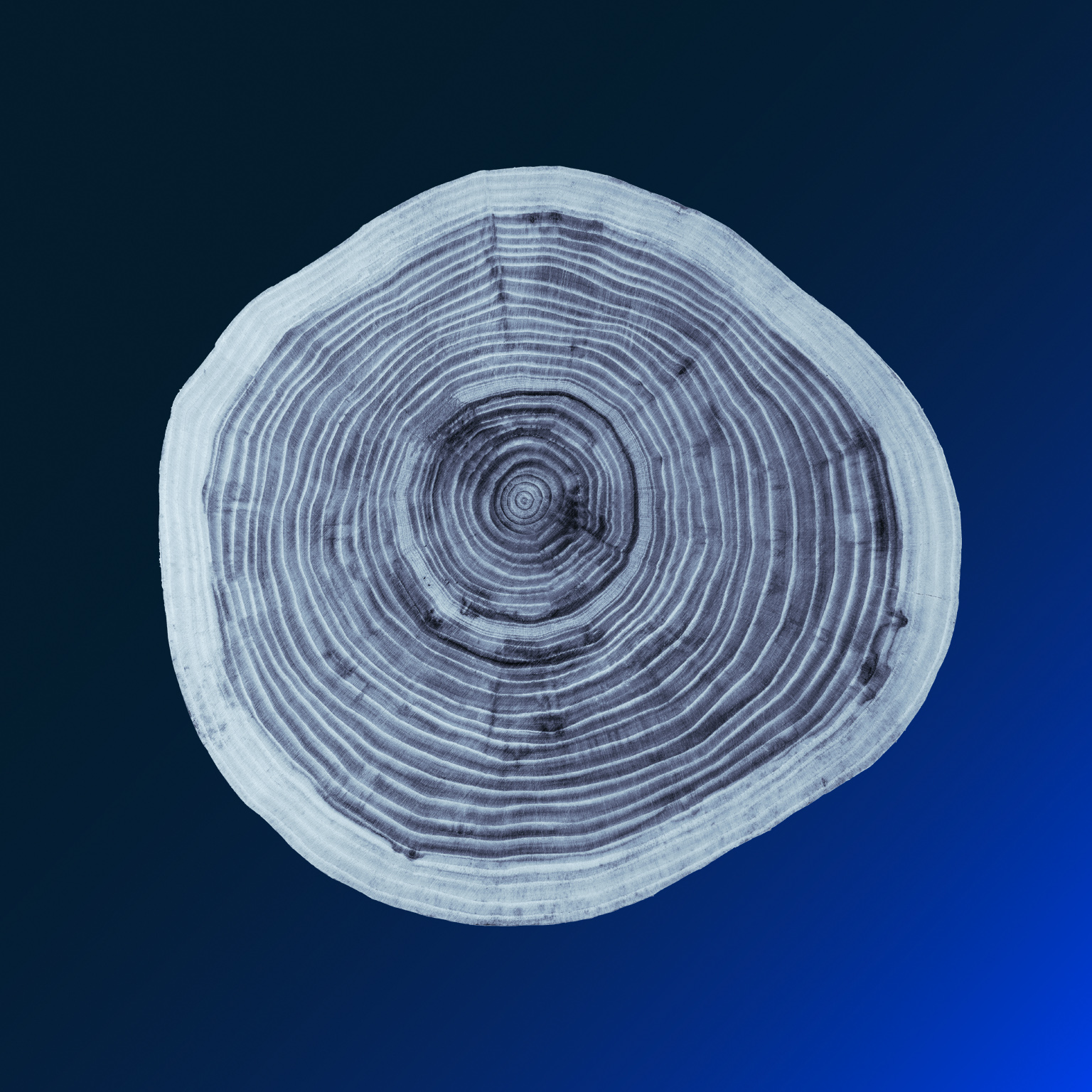 The future of life insurance: Reimagining the industry for the decade ahead