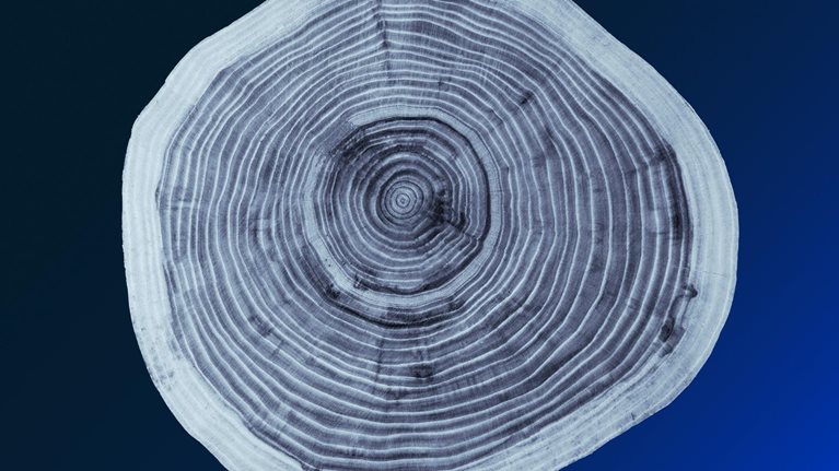 The future of life insurance: Reimagining the industry for the decade ahead