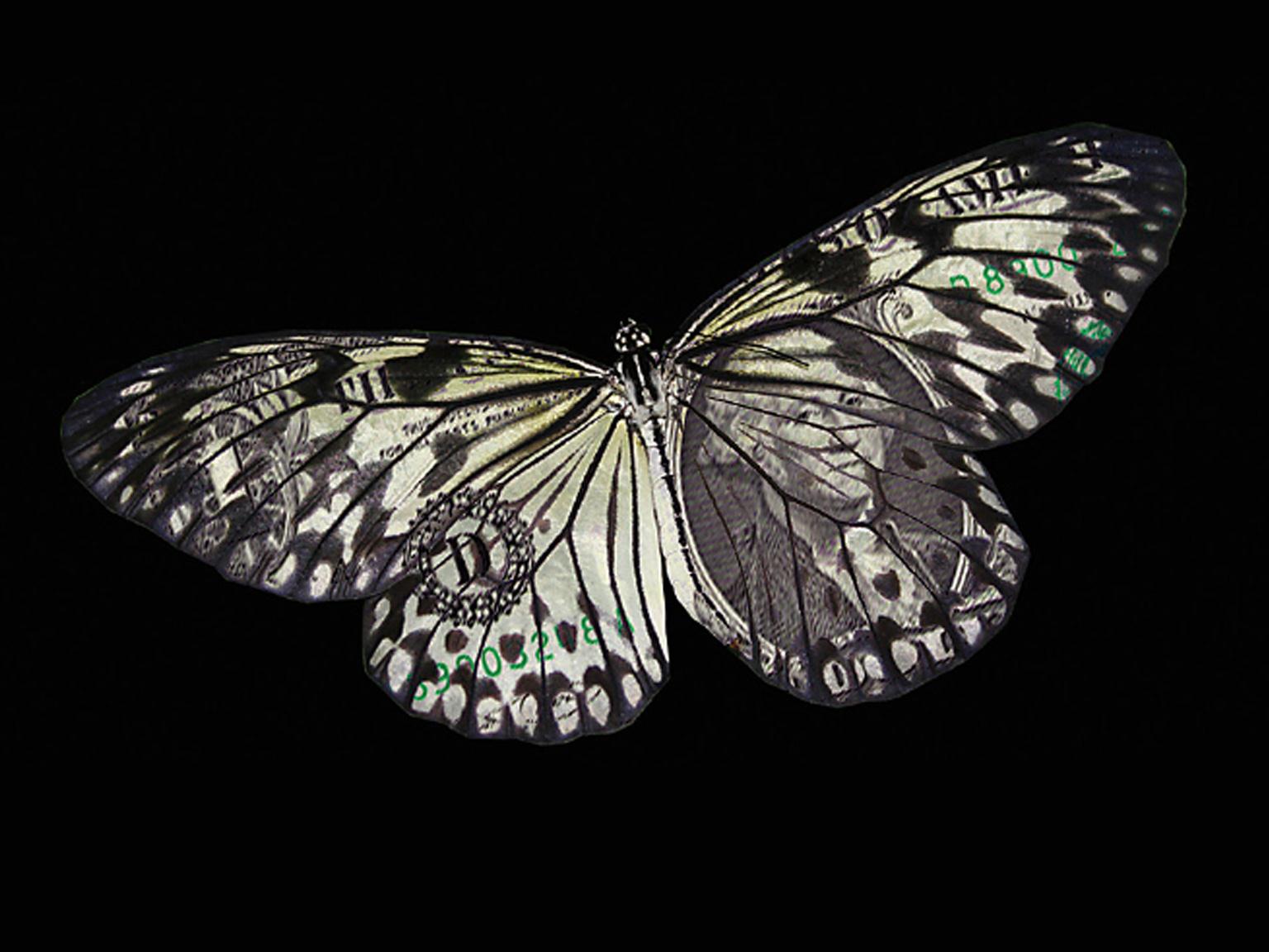 unse11_1536x1152_Original