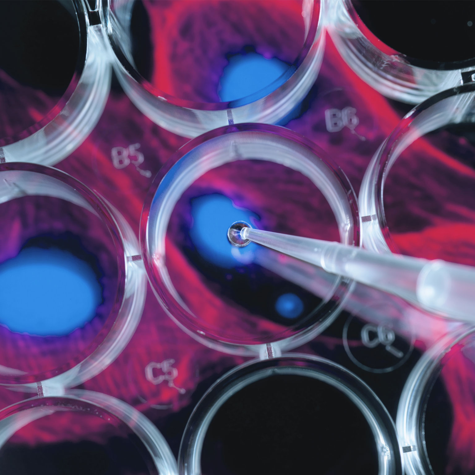 Biopharma portfolio strategy in the era of cell and gene therapy