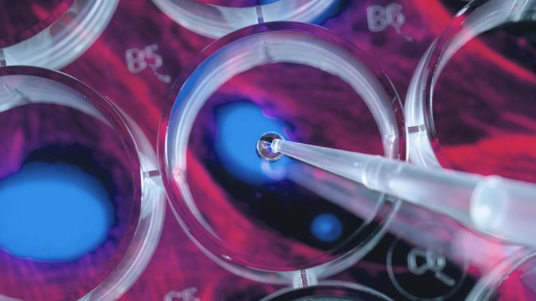 Biopharma portfolio strategy in the era of cell and gene therapy