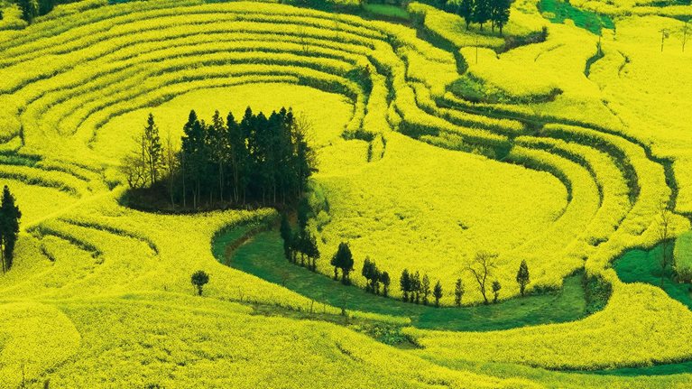 Collaborating to address our global public health challenges