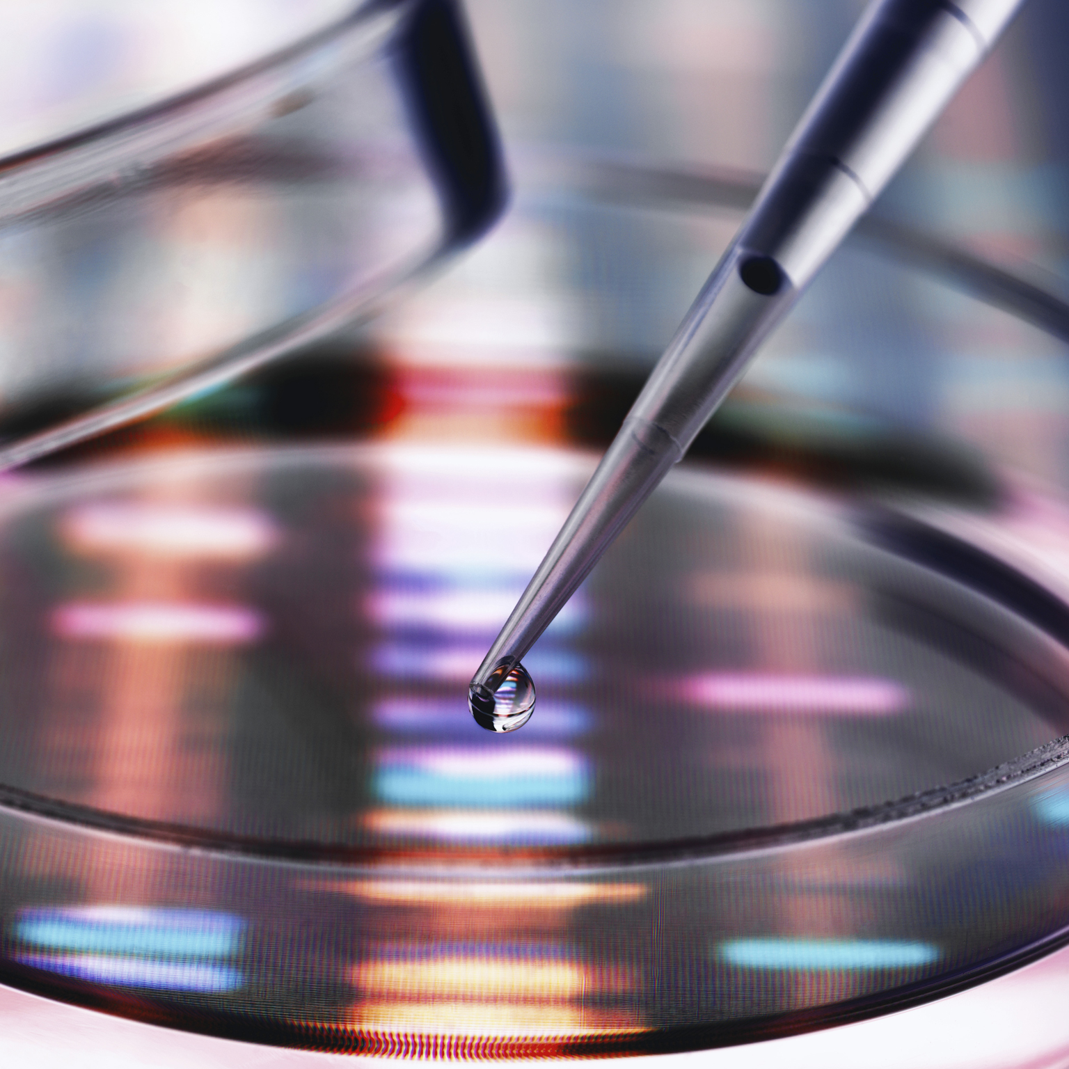 COVID-19 implications for life sciences R&D: Recovery and the next normal