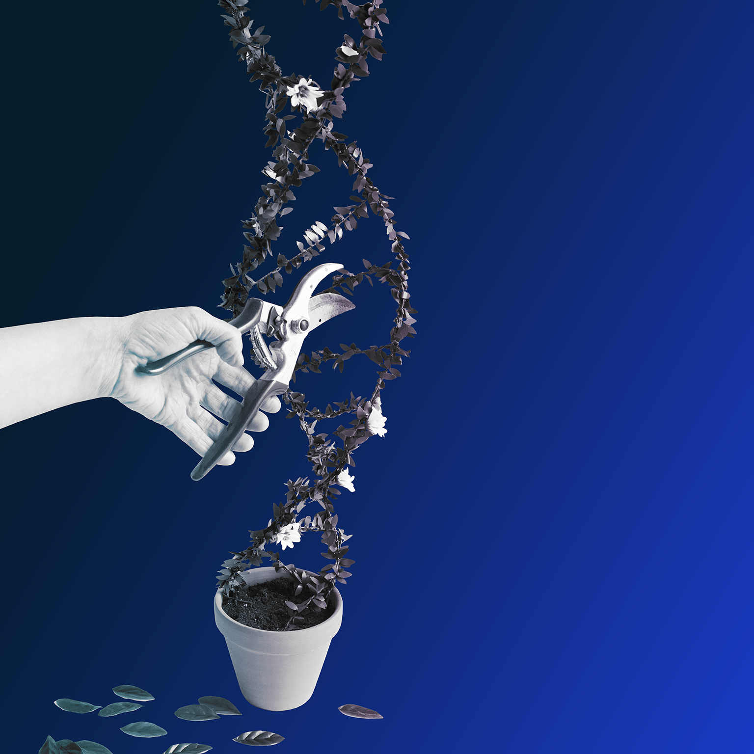 Programming life: An interview with Jennifer Doudna