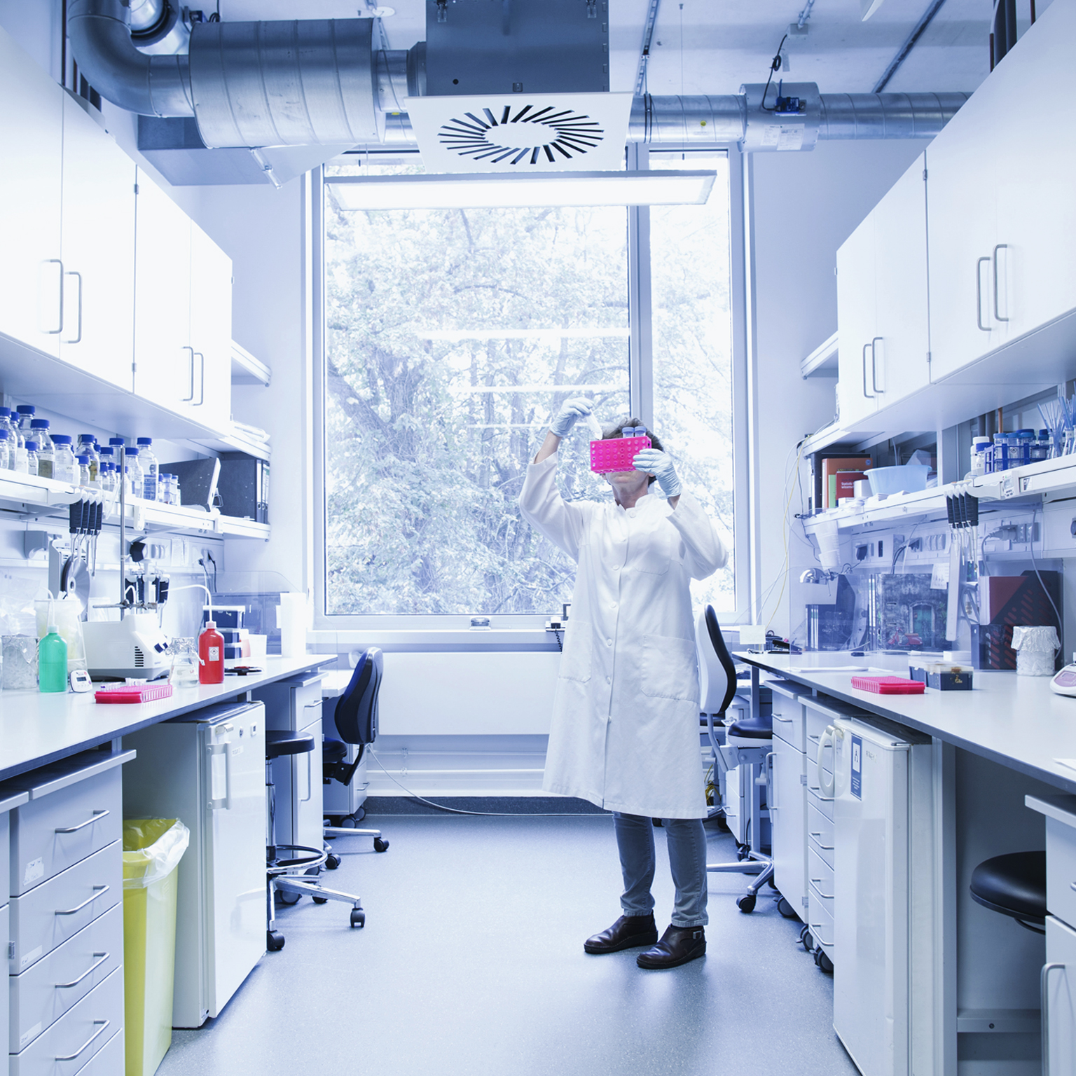 Female biologist working in a laboratory
