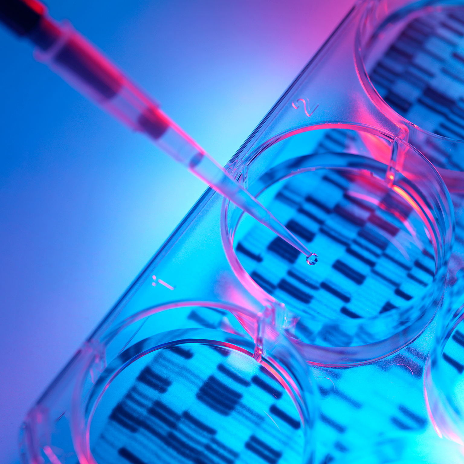 Pipetting sample into tray for DNA testing