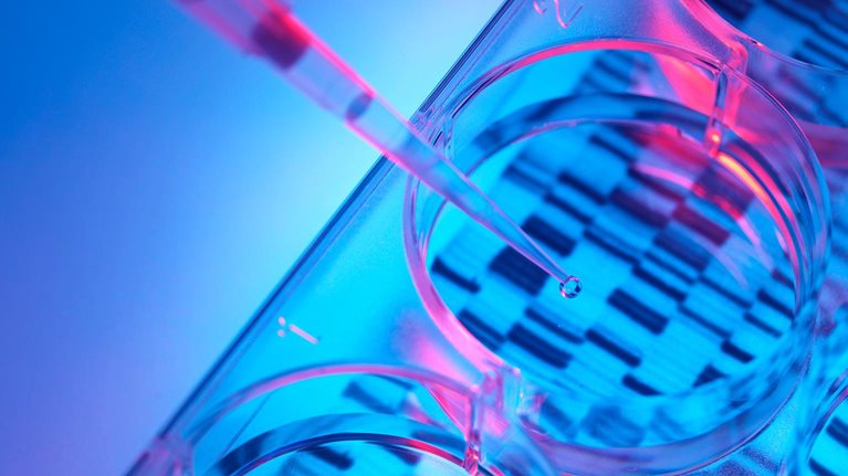 Pipetting sample into tray for DNA testing