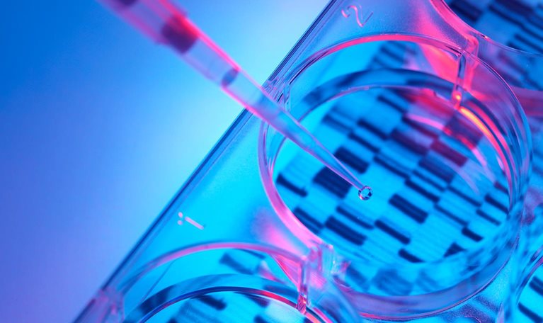 Pipetting sample into tray for DNA testing