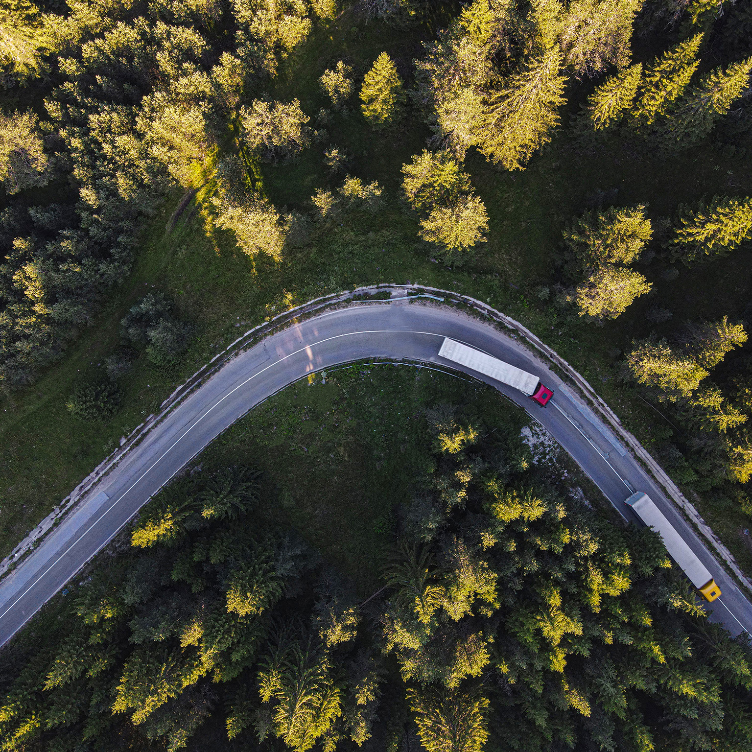 Drone point of view over two semi-trucks on a road curve in pine woodland.