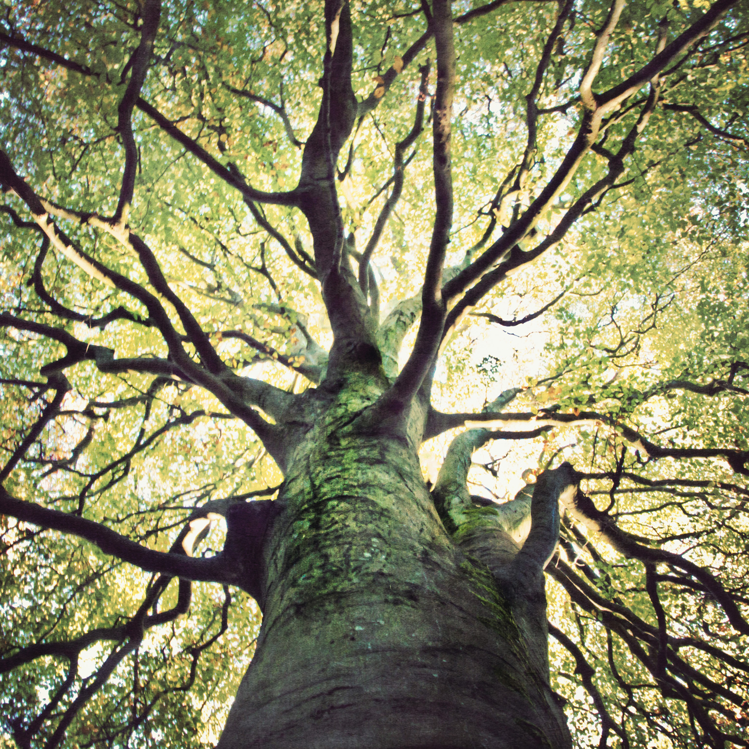 Capturing the value from sustainable materials