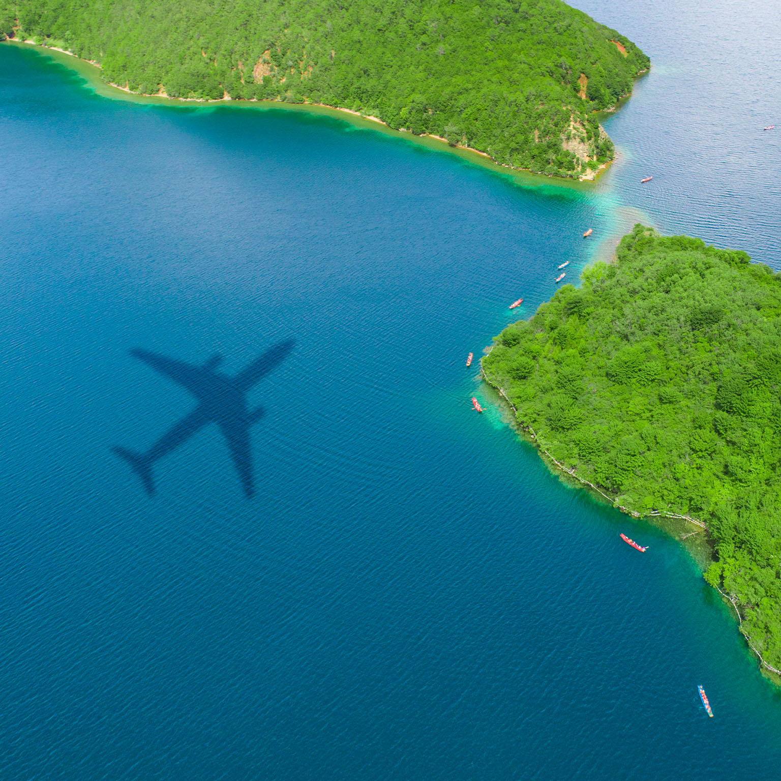 Airplane shadow over the island forest - stock photo