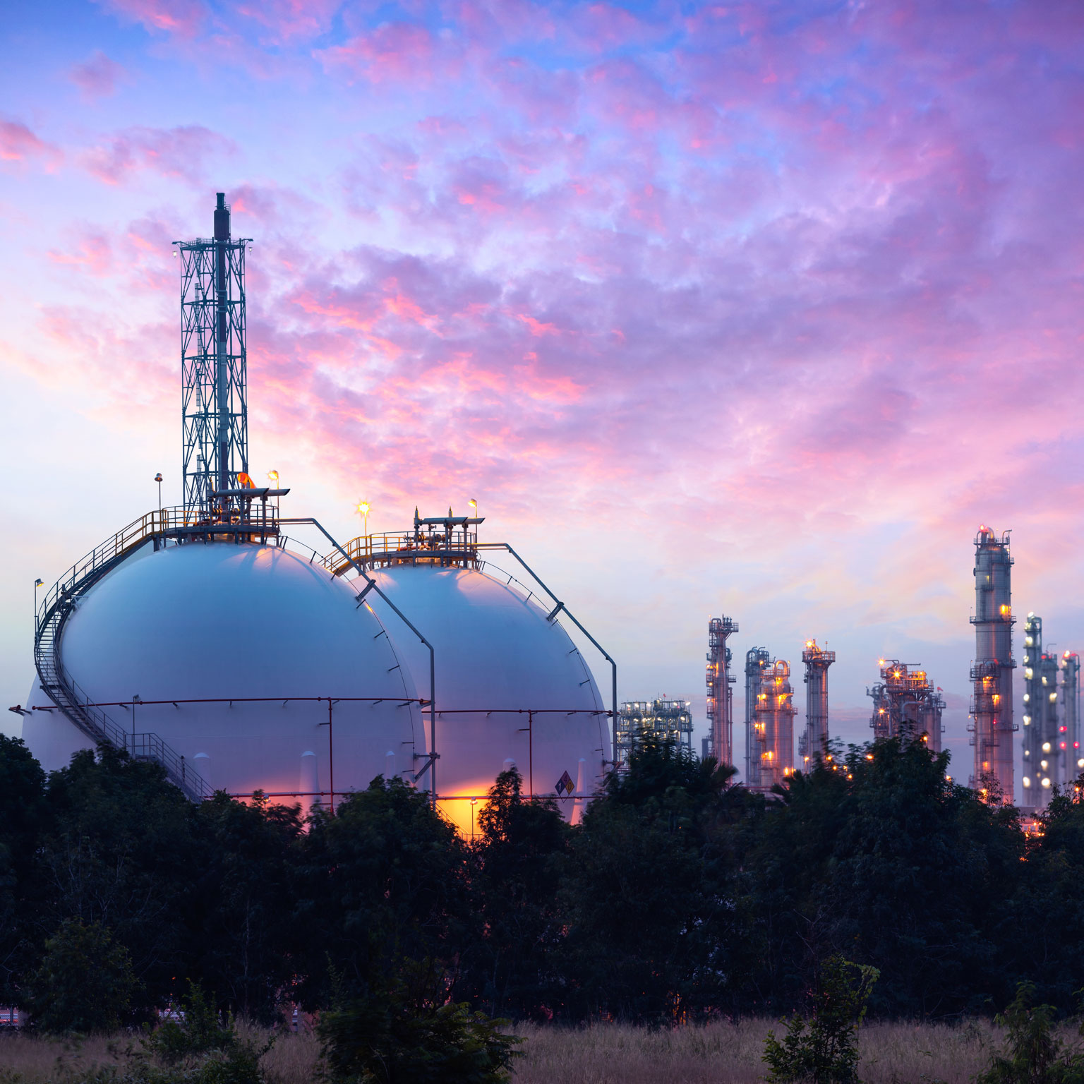 The oil and gas organization of the future