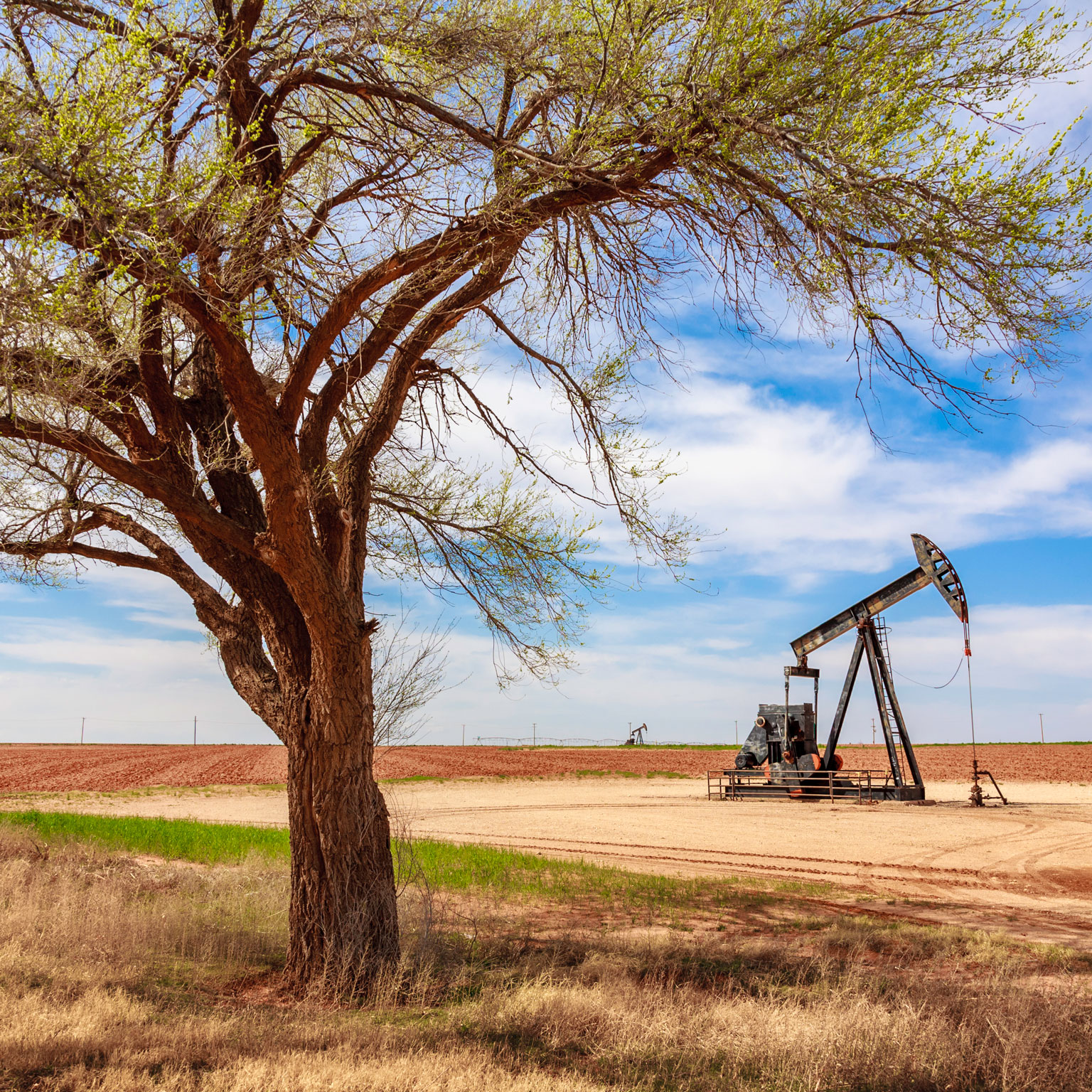 What it takes to be successful: Three hallmarks of a healthy oil and gas organization