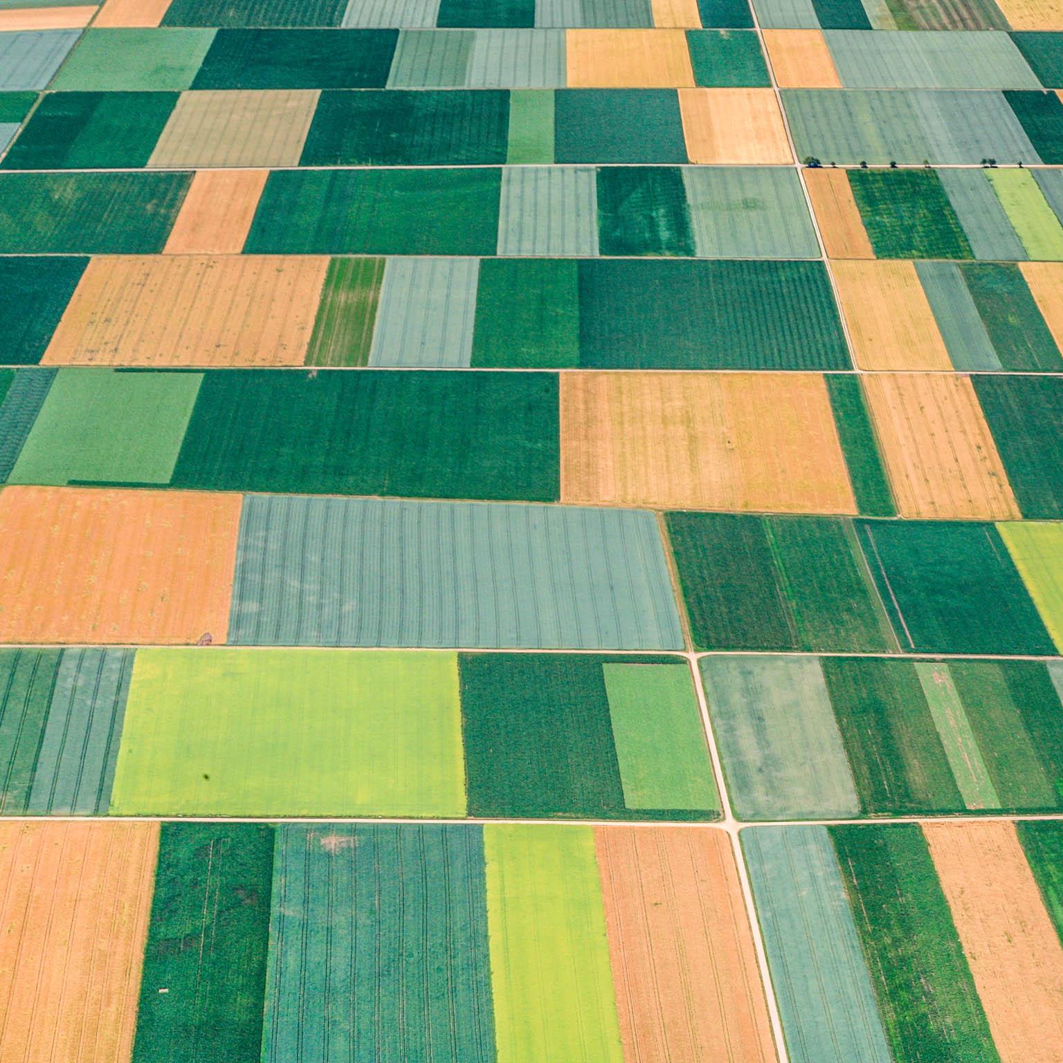 How-leading-institutions-1536x1536_Standard