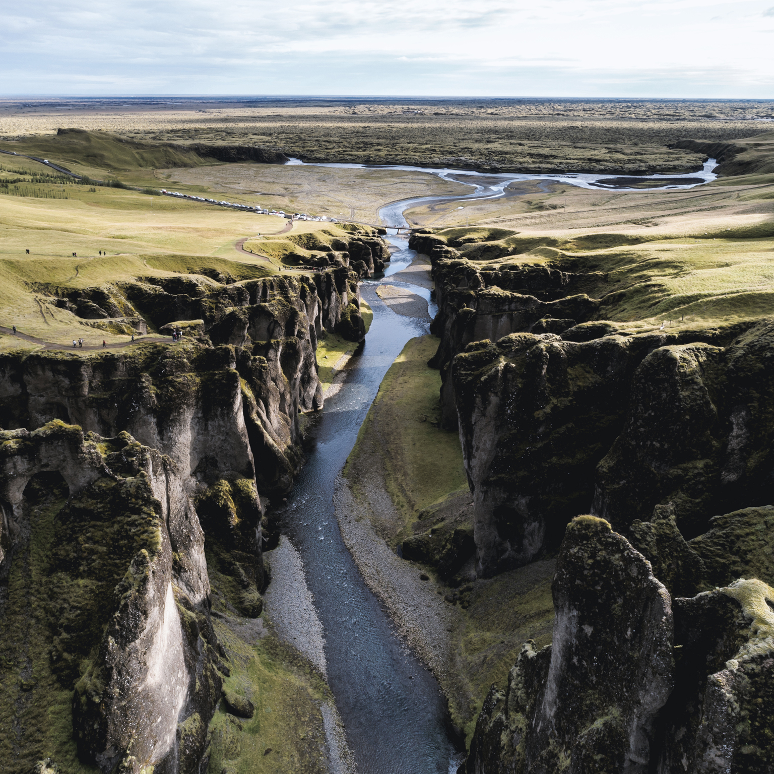 Institutional investing in the time of COVID-19