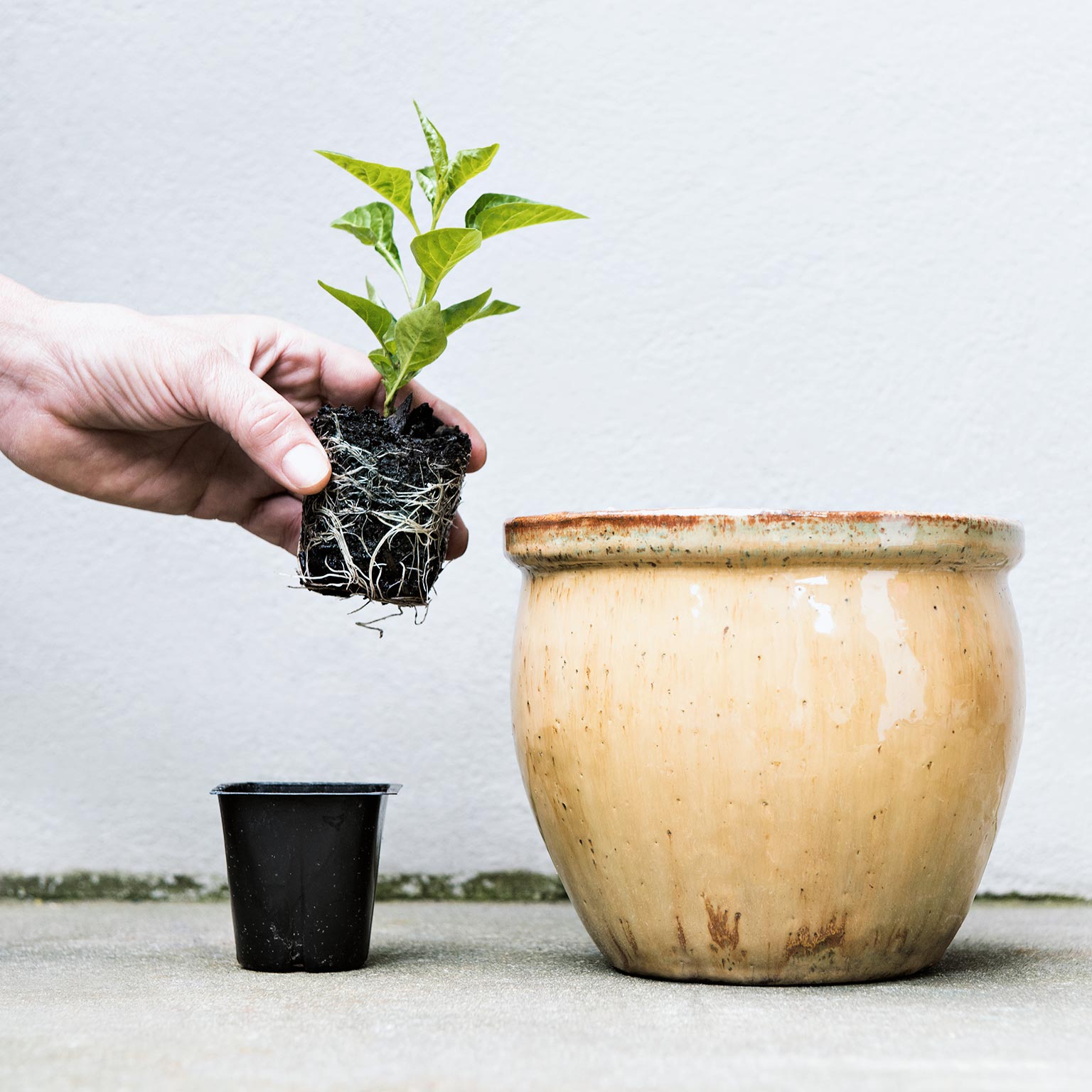 A transformative moment for philanthropy