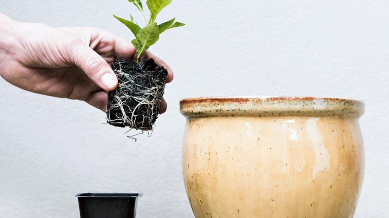 A transformative moment for philanthropy