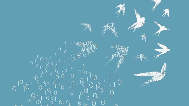 How migration data can deliver real-life benefits for migrants and governments