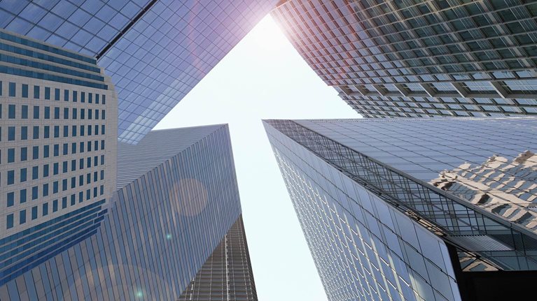 Grow_fast_die_slow_1536x1536_Original