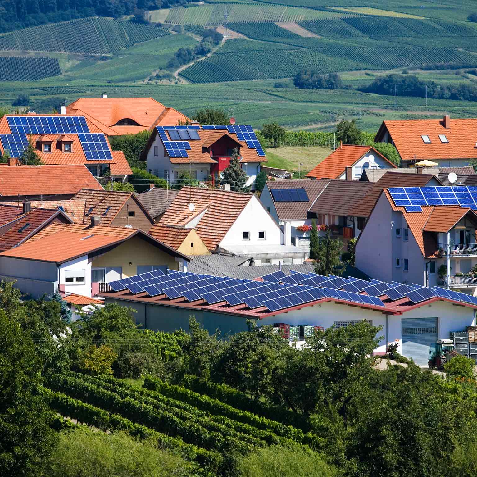 Nachhaltigkeit & Ressourcen­produktivität