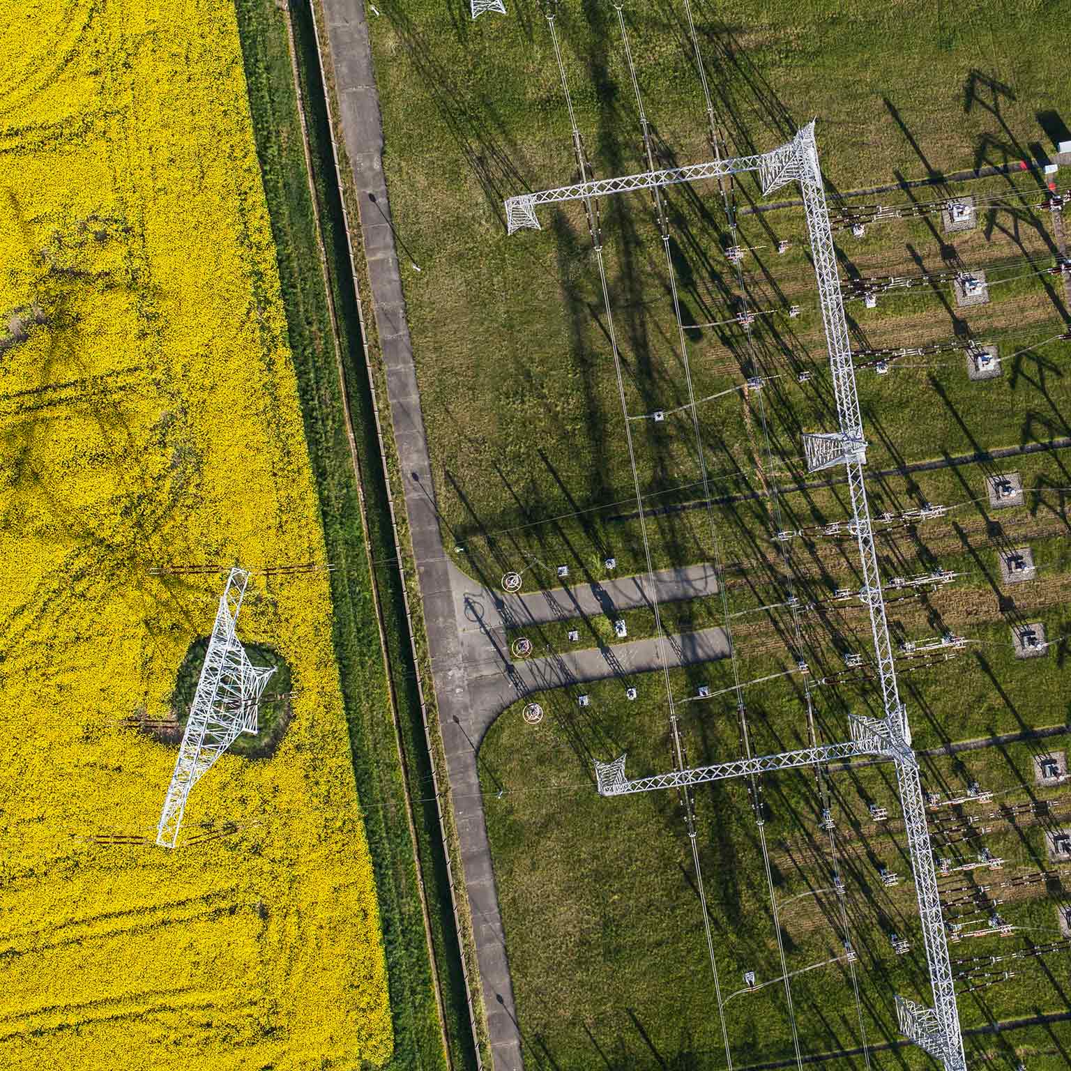 Distributing the surplus – how digitization will help prepare Germany’s energy sector for the future