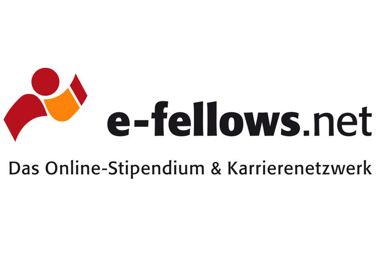 e-fellows.net
