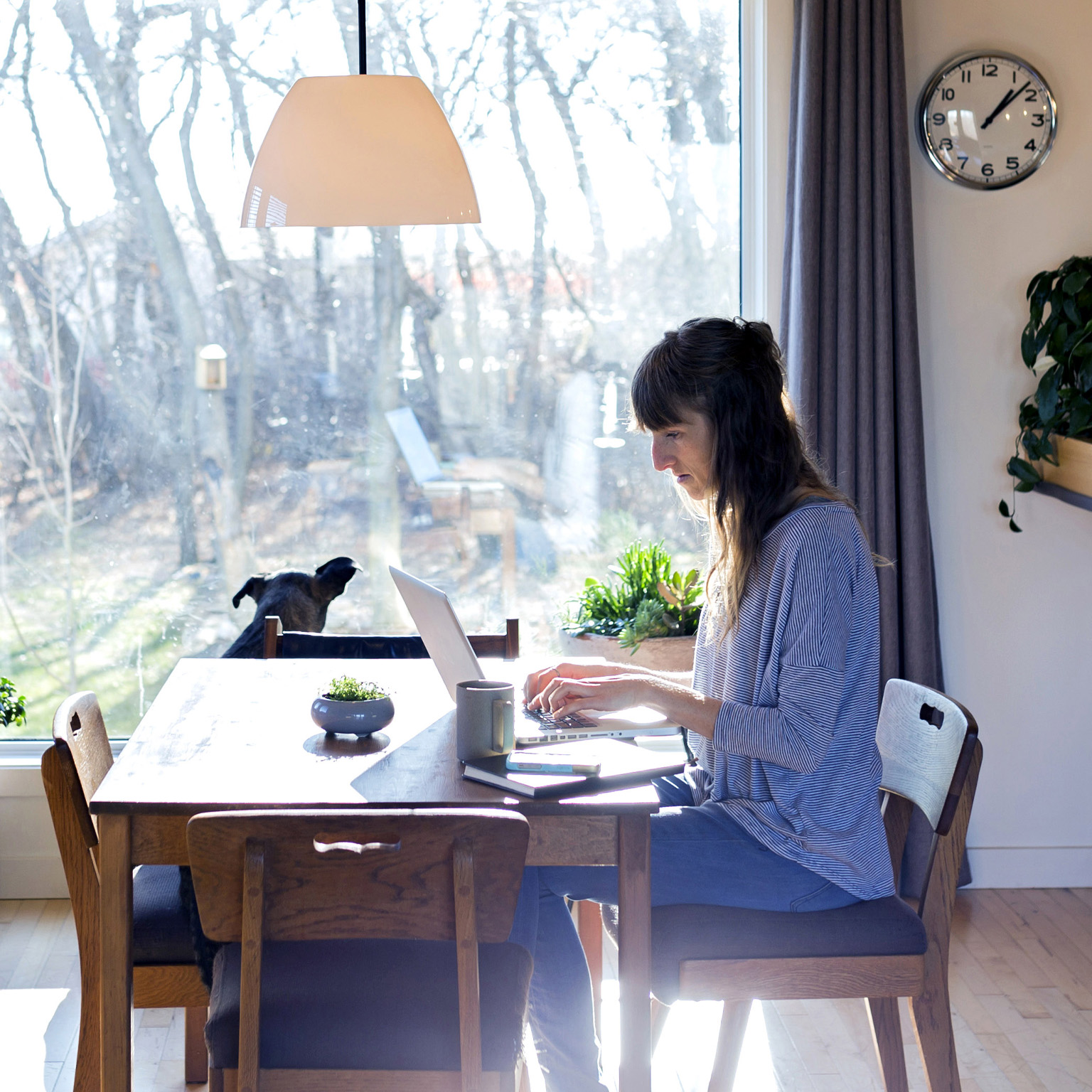 A woman working on a laptop at her dining room table in a suburban home. A dog is seen peering out the adjacent window onto a wooded yard.