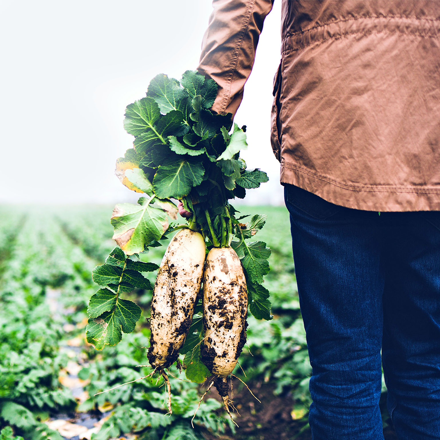 McKinsey Health Institute sustainability