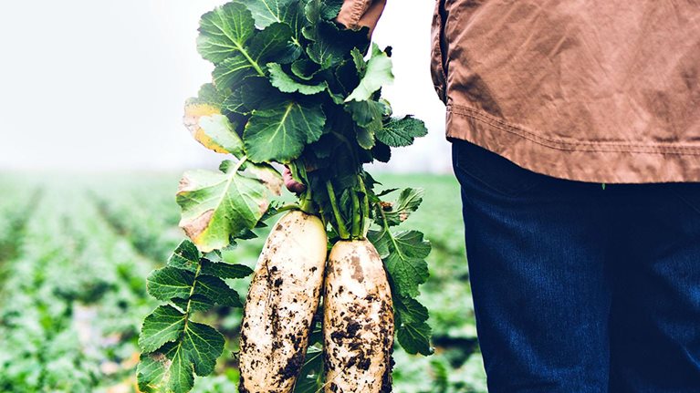 McKinsey Health Institute sustainability